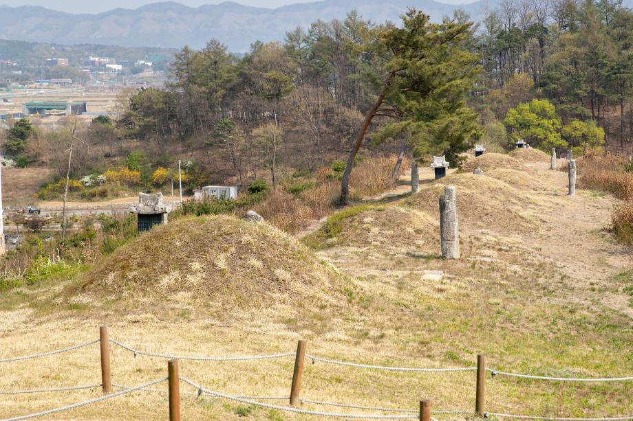 군 지정 문화재 청주양씨묘역