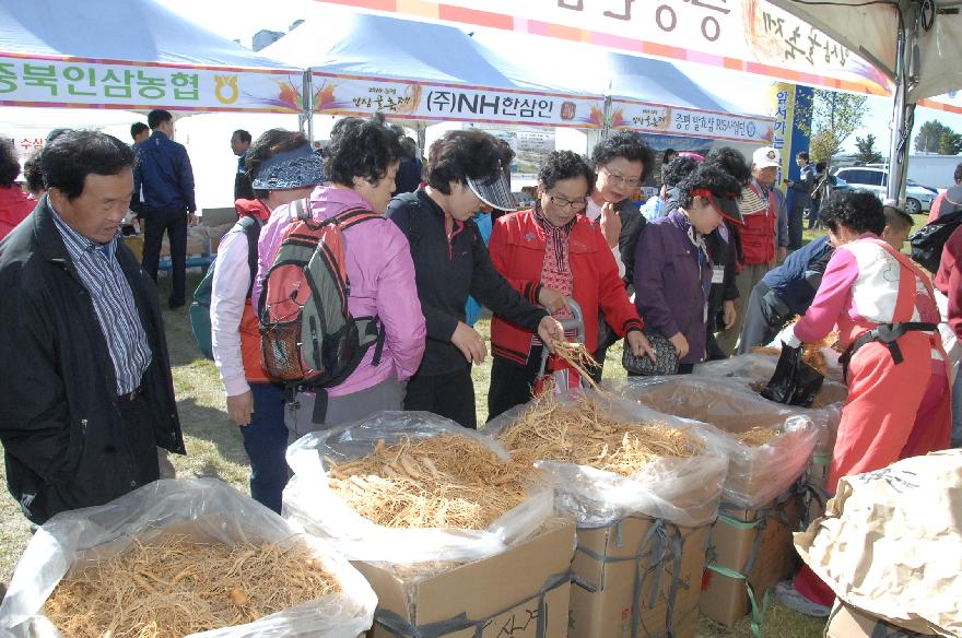 증평인삼골 축제 지역경제 활성화 효과 톡톡