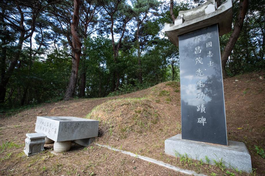 비지정 문화재 임창무 묘