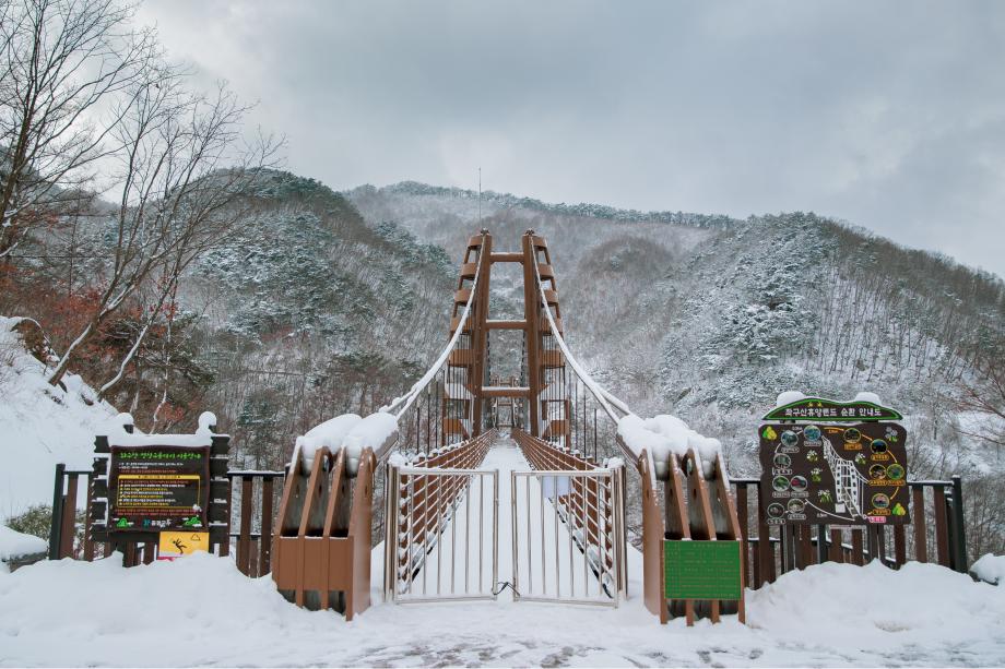 좌구산 명상구름다리 겨울 경관