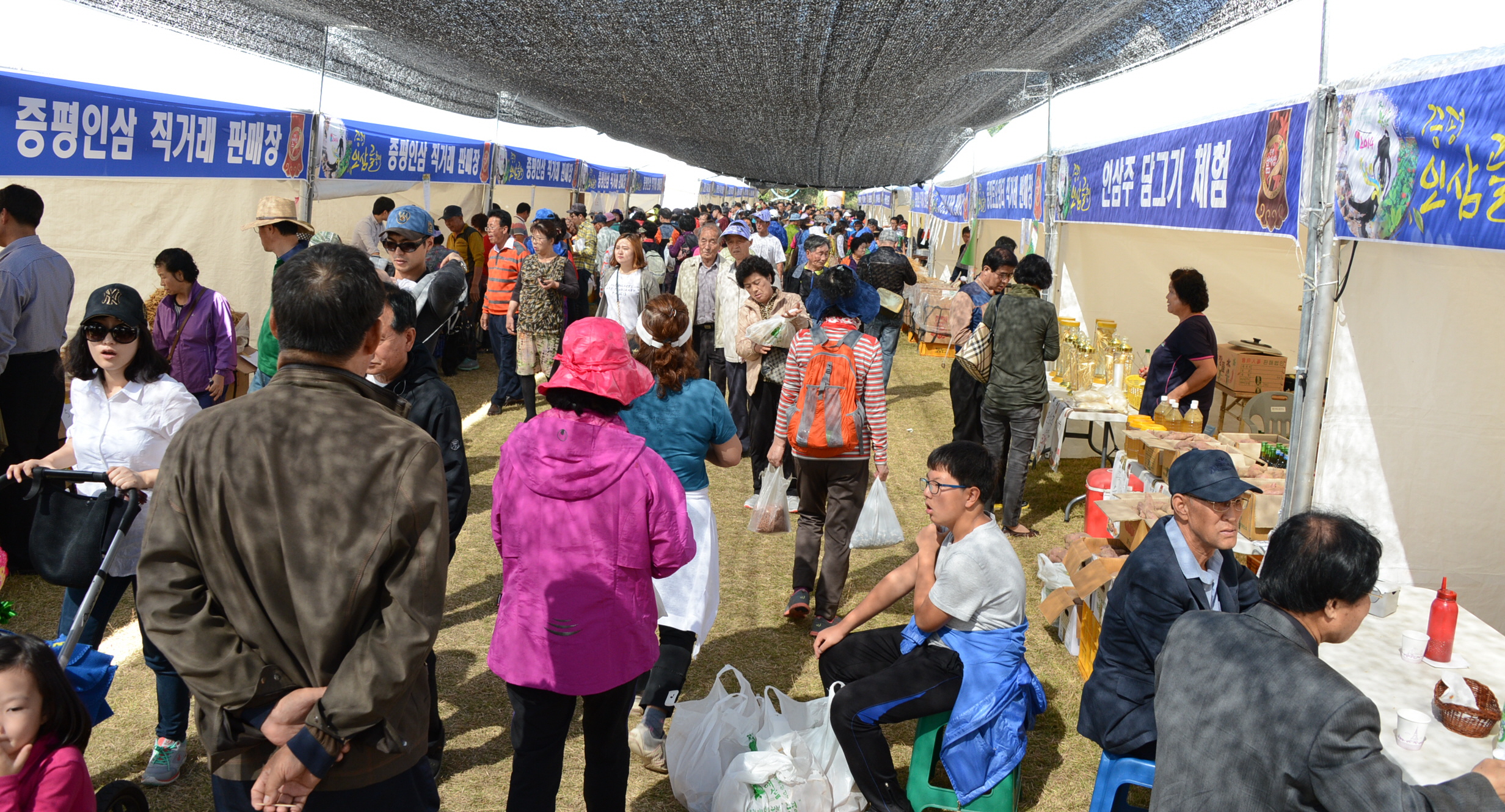 증평 인삼골축제, 지역경제효과 높았다