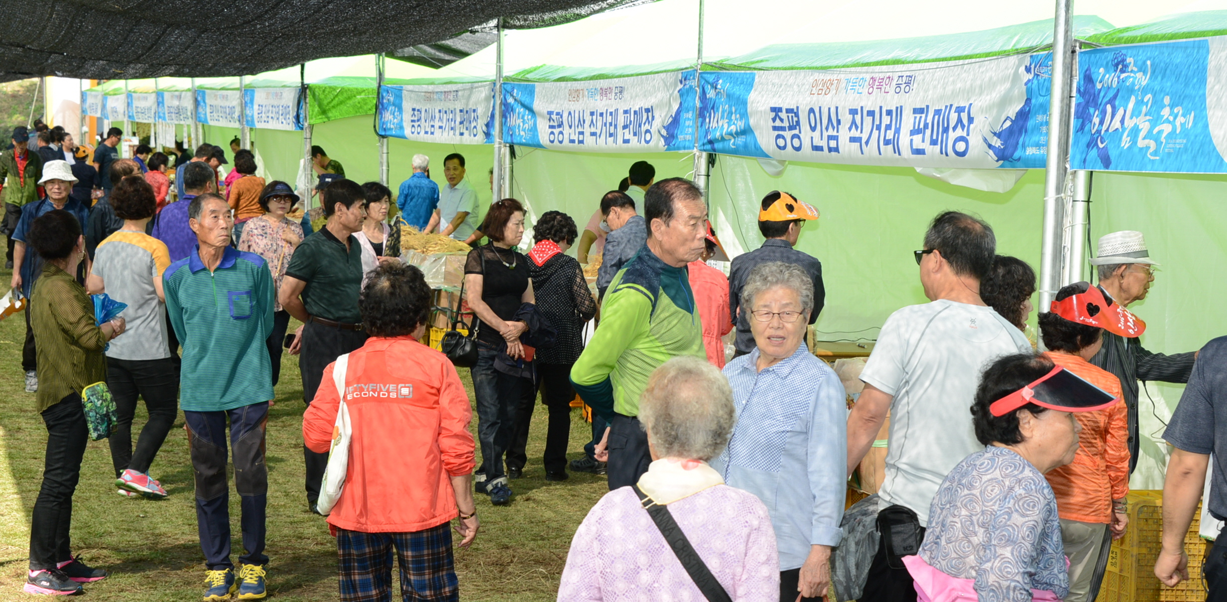 2016 증평인삼골축제 개막