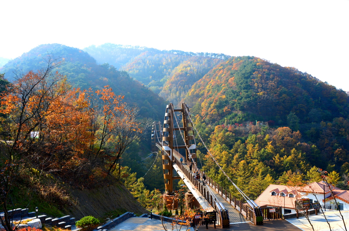 좌구산 명상구름다리의 가을